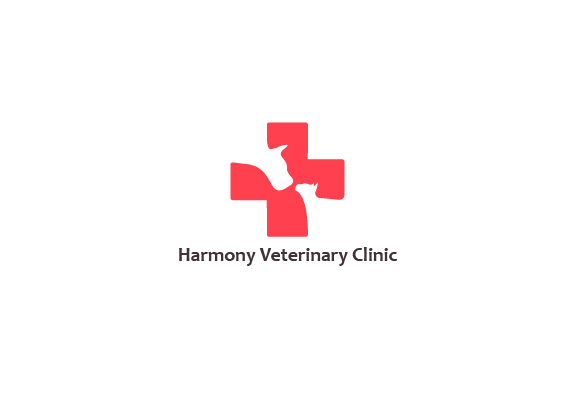thiet ke logo