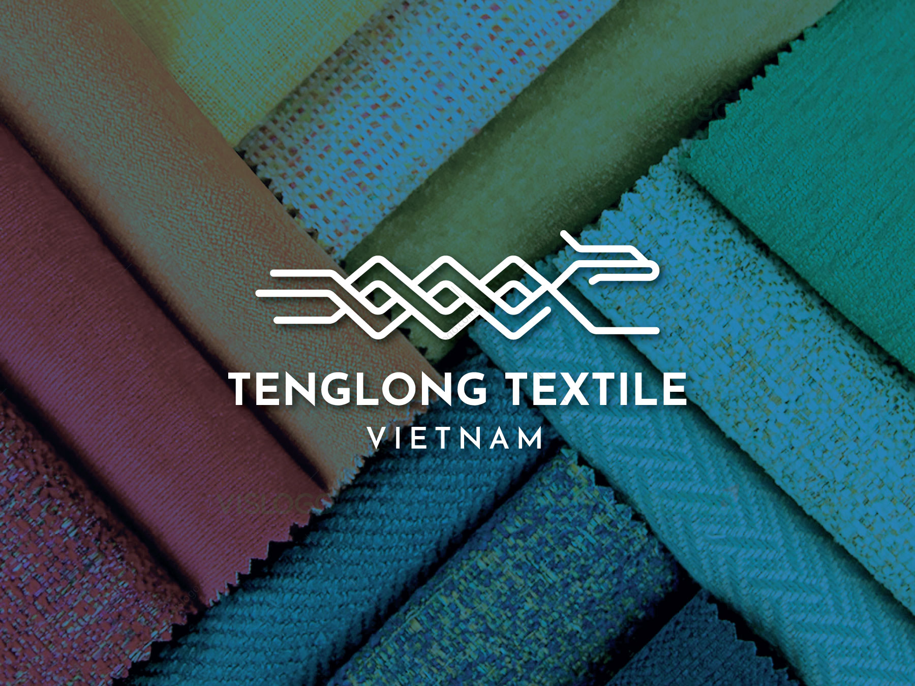 Thiết kế logo thương hiệu TENG LONG TEXTILE